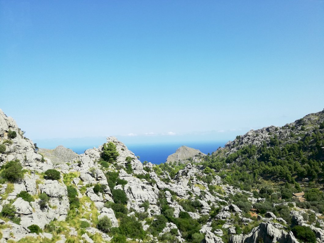 green mountains going down to the ocean