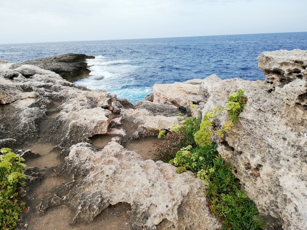 A view from the cliffs onto the water