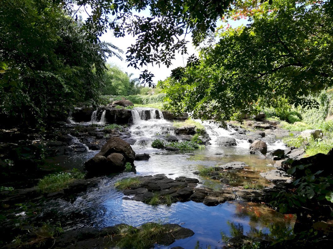 A tiny waterfall in the background, leaves in the front