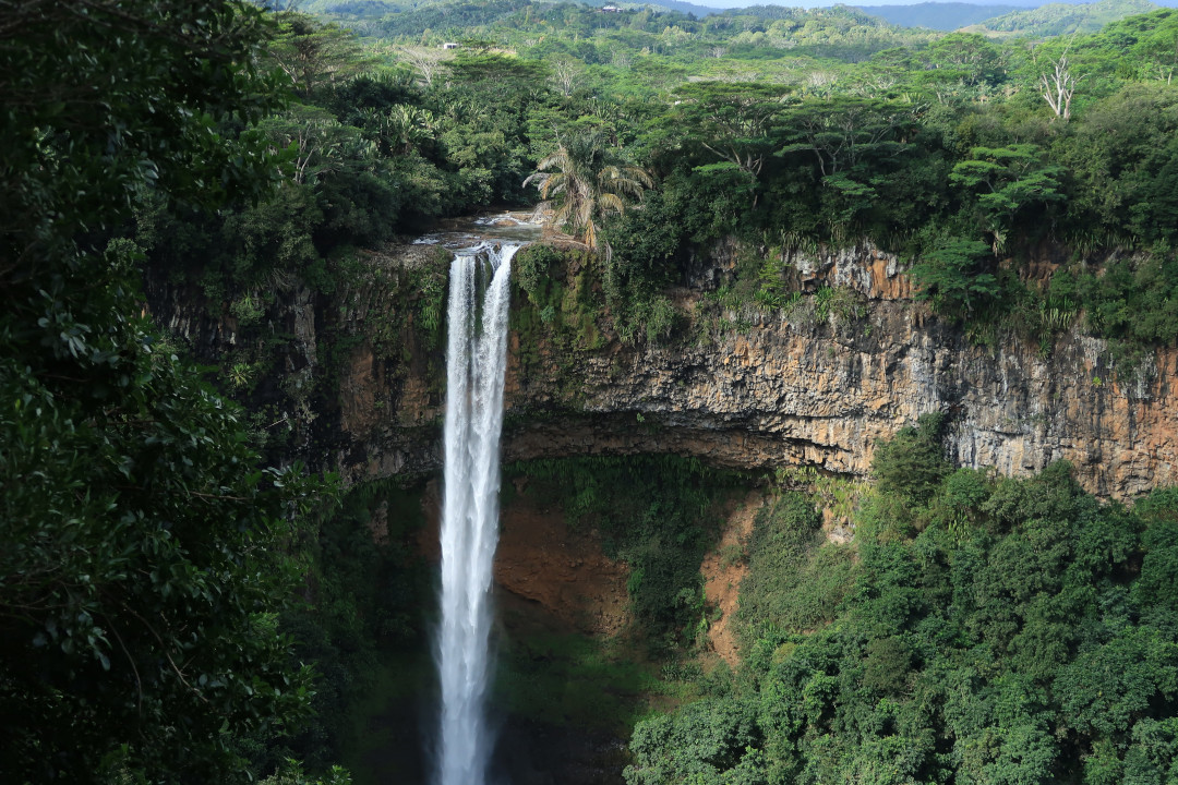 A waterfall going down a big cliff with trees on the edge