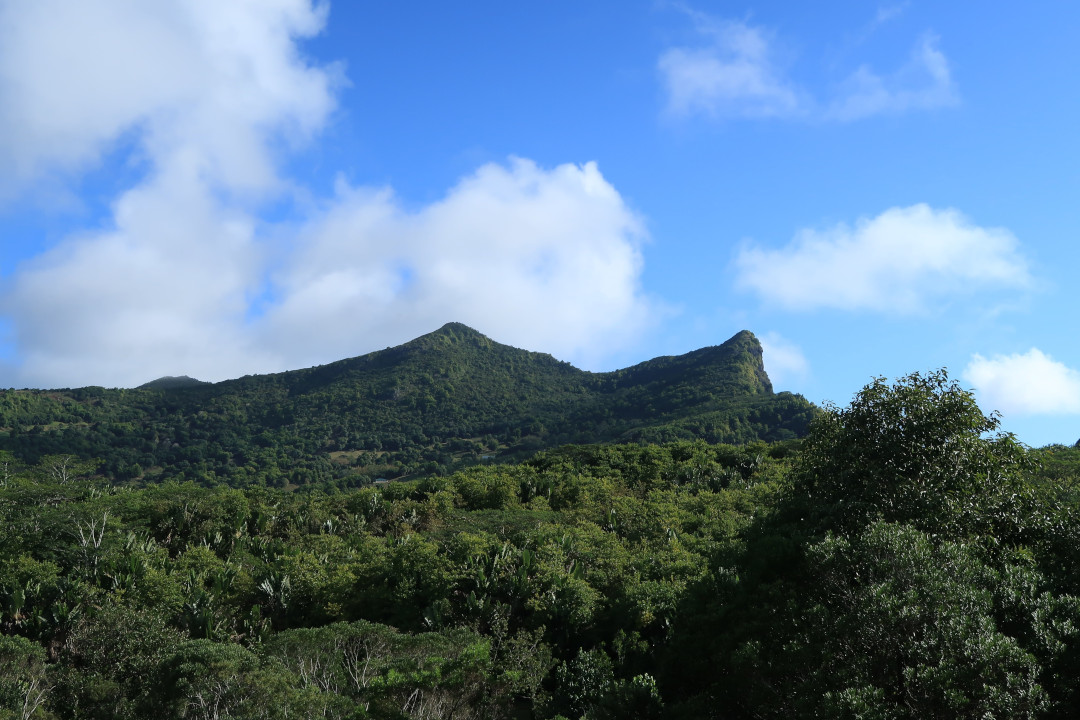 A view onto a mountain with many trees and a lightblue sky with some white clouds